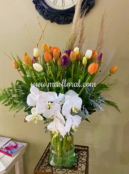 50 tulipanes y orquídea
