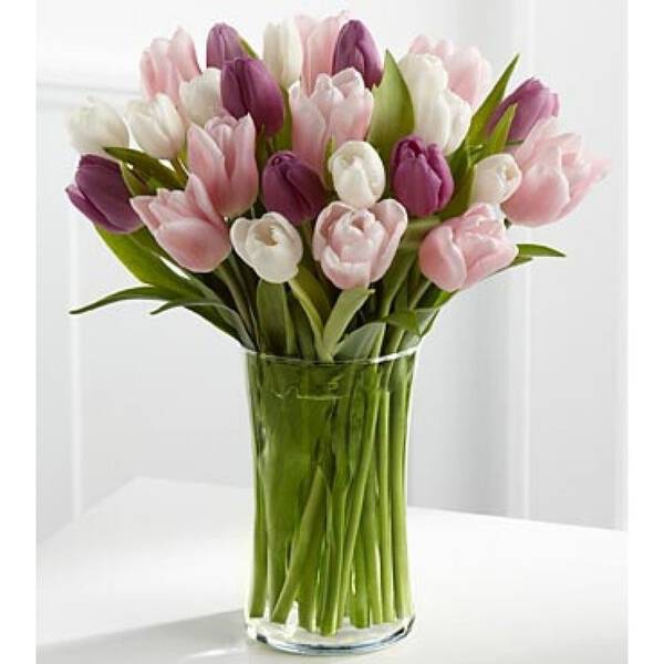 vidrio y tulipanes