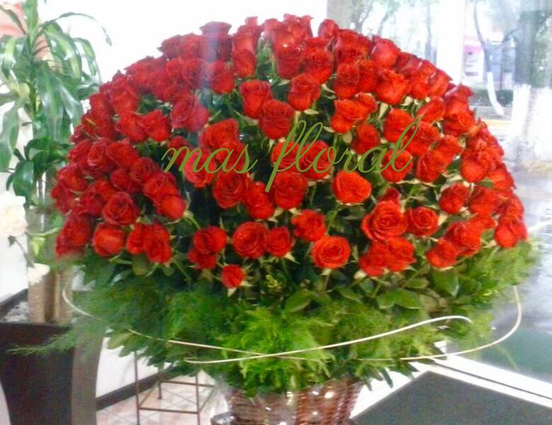 wow roses