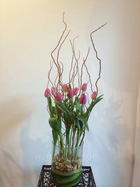 Tulipanes con varas