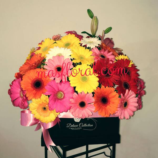 Gerberas en caja negra