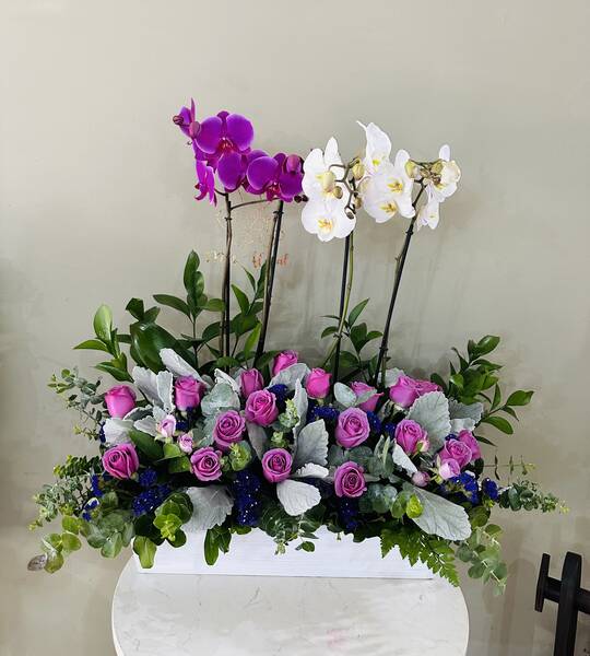 Purple y orquídeas