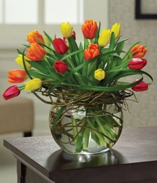 30 tulipanes en pecera